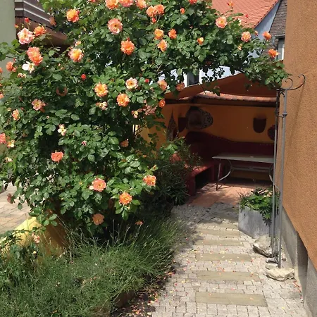 Casaorientale *